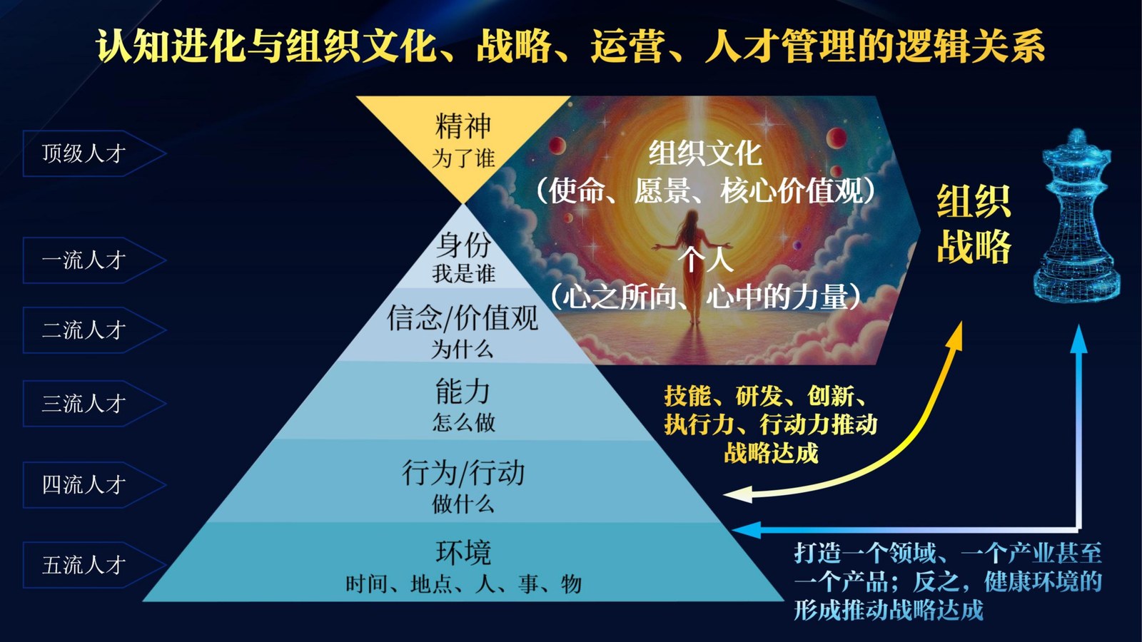 认知进化与组织文化、战略、运营、人才管理的逻辑关系图