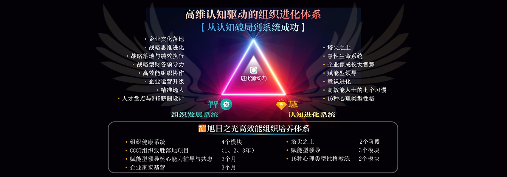 旭日之光高效能组织开发系统：高维认知驱动的组织进化体系
