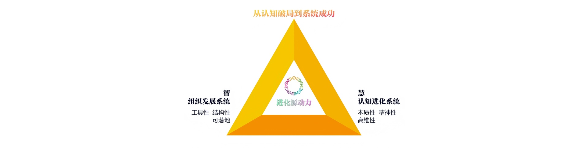从认知破局到系统成功：智（组织发展系统）与慧（认知进化系统）的进化源动力